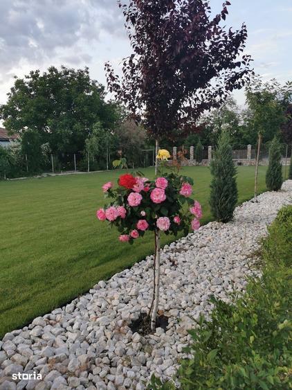 Casă cu 4 camere cu Teren 7000 Mp în Ulmi