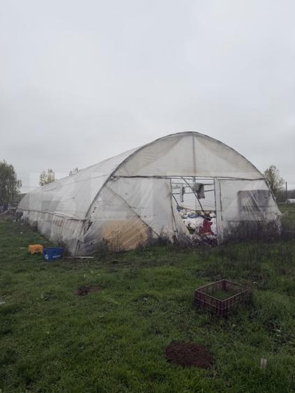 Teren agricol extravilan de 11500 mp, în Exterior Vest