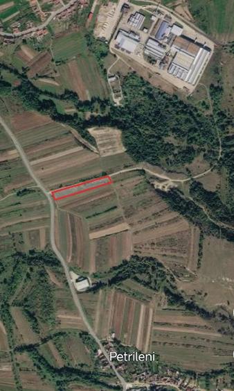 Teren de 2350 mp, în Petrileni