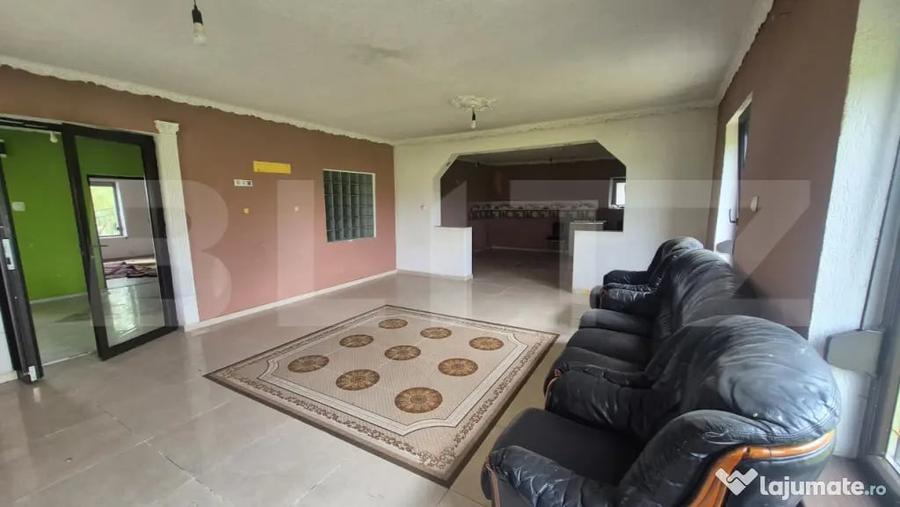 Casă cu 3 camere cu Teren 2918 Mp în Vetiș