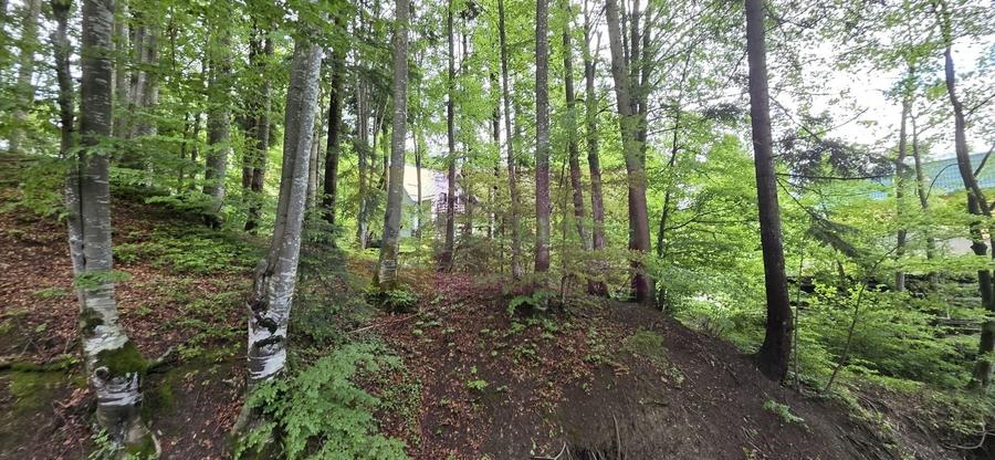Teren intravilan de 720 mp, în Central