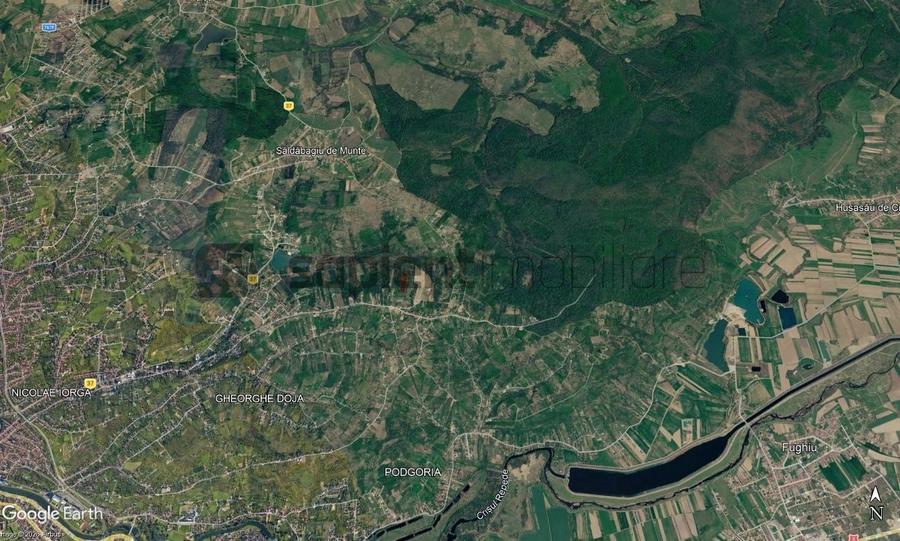 Teren agricol intravilan de 4316 mp, în Săldăbagiu de Munte