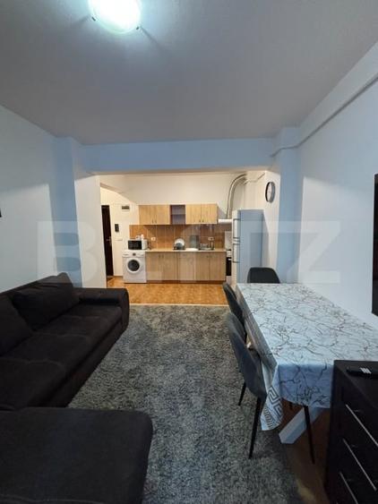 Apartament cu 2 camere, etaj 2, bloc cu lift, George Enescu - 2