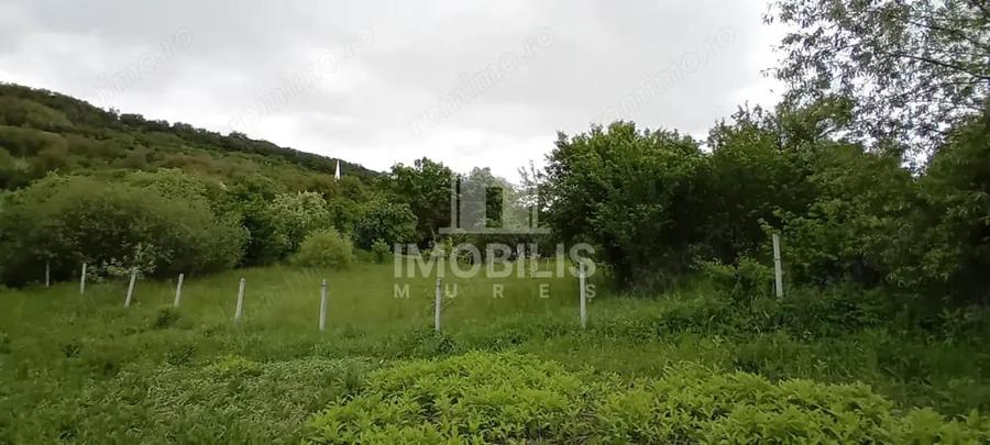 Teren de 994 mp, în Budiu Mic