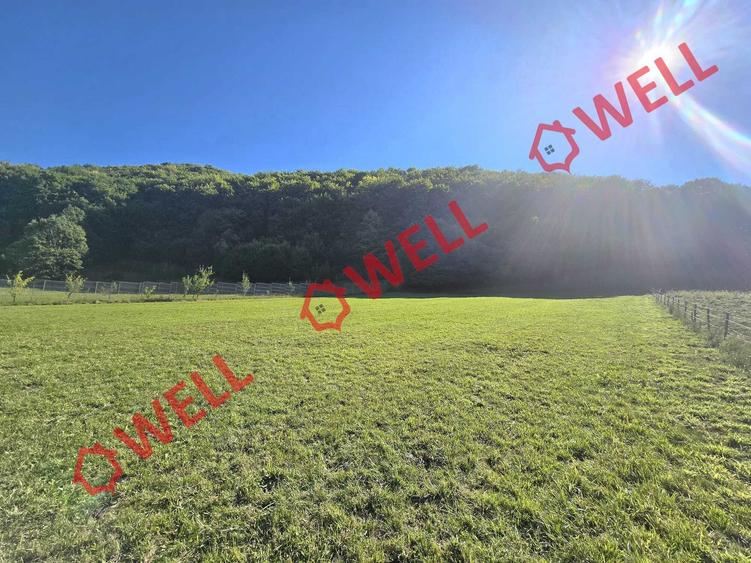 Teren intravilan de 2782 mp, în Bixad