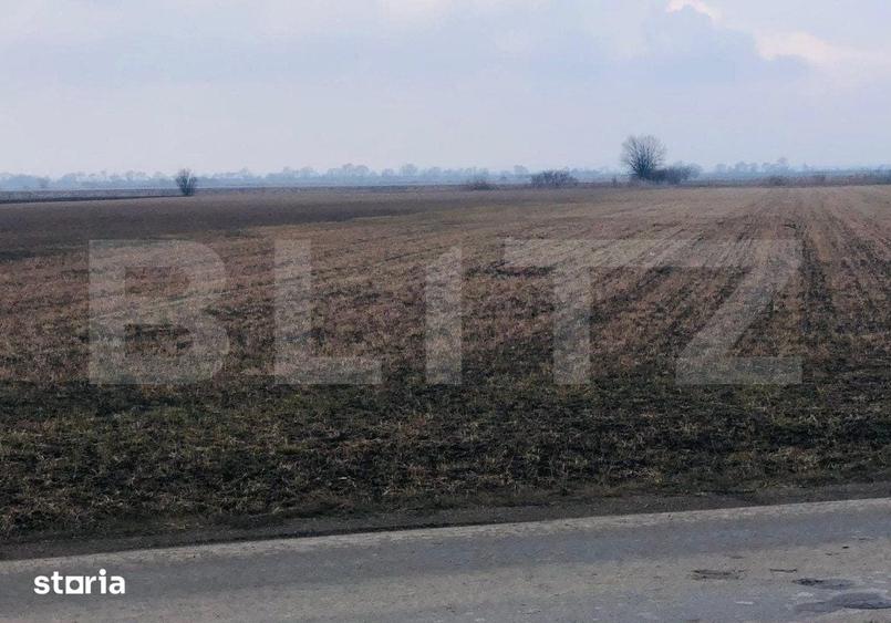 Teren de 30000 mp, în Bod
