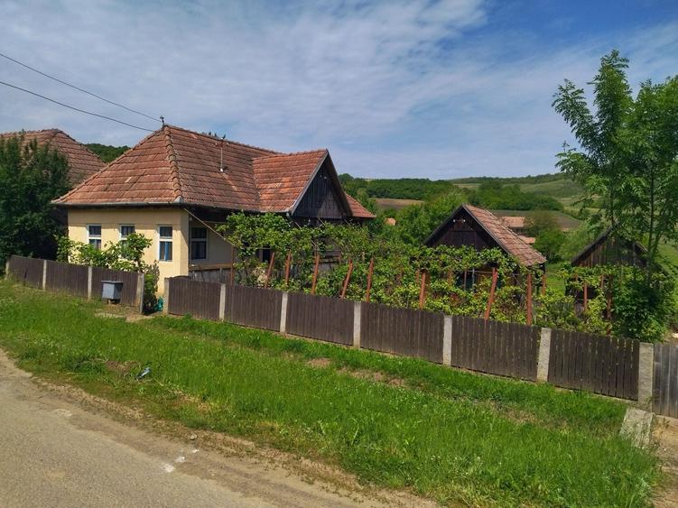 Casa de vanzare in satul Moisa - 2