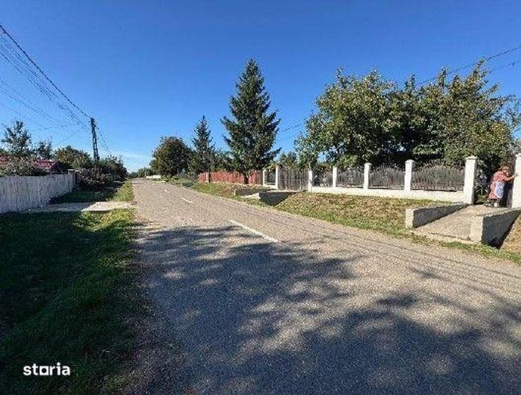 Casă cu 3 camere cu Teren 2000 Mp în Bârgăuani