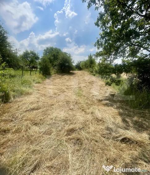 Teren de 3200 mp, în Central