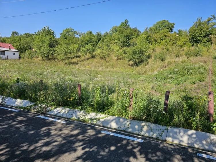 Casă cu 5 camere în Mărunțișu