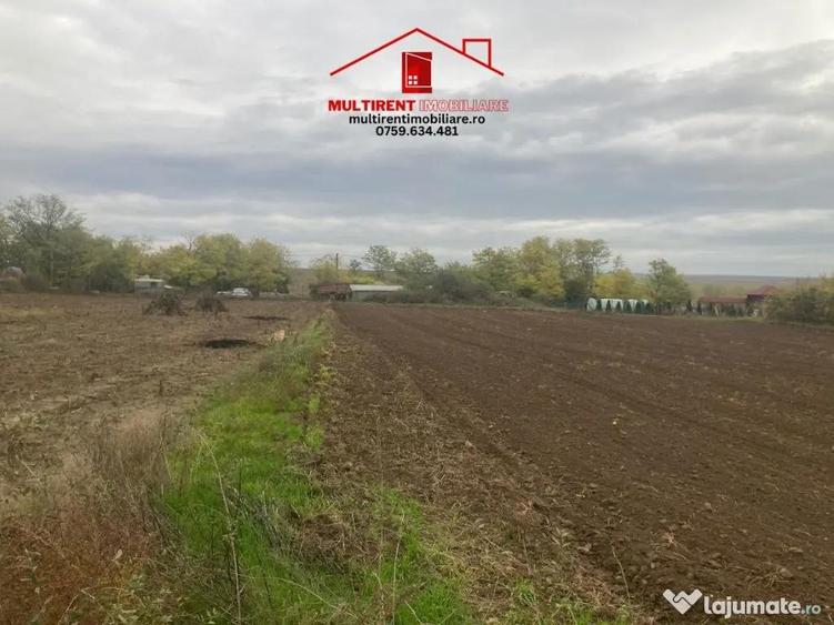 Casă cu 3 camere cu Teren 3895 Mp în Rândunica