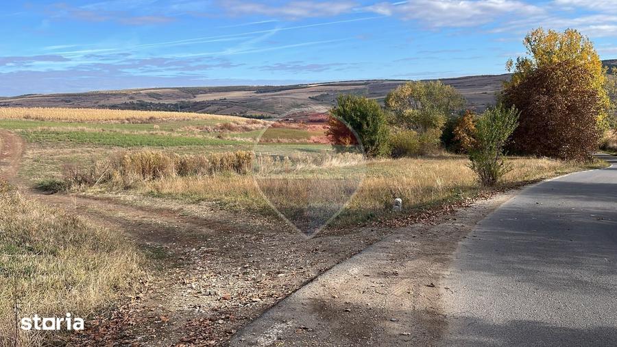 Teren de 3000 mp, în Ciurila