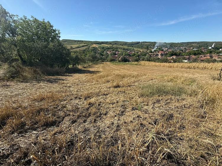 Teren de 2700 mp, în Șamșud