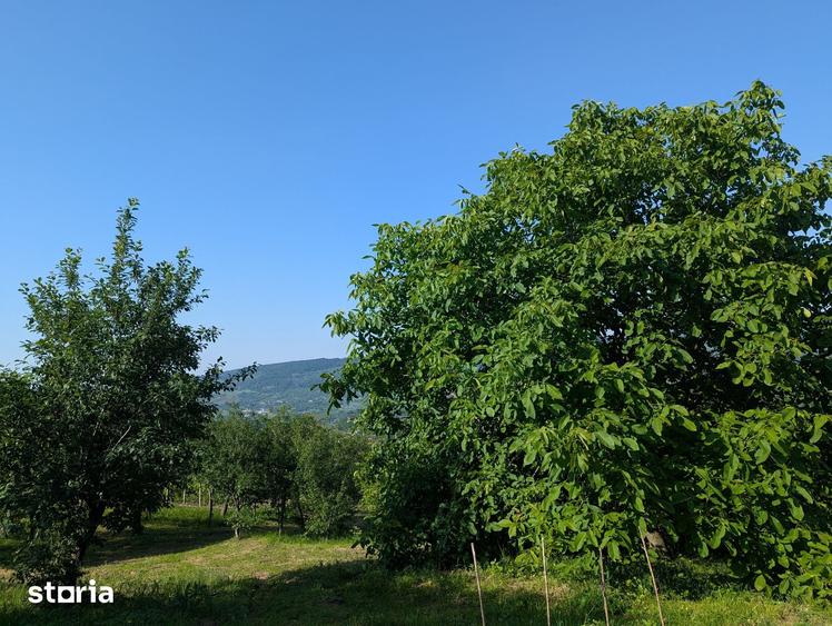 Casă cu 6 camere cu Teren 12900 Mp în Cotnari