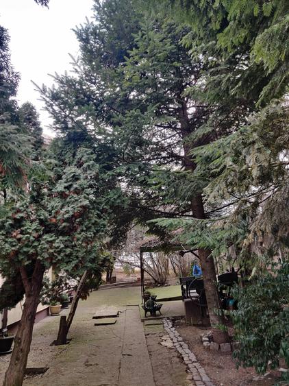Casă individuală cu 5 camere cu Canalizare în Parcul Carol