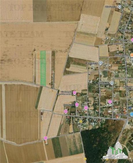 Teren agricol extravilan de 5000 mp, în Vadu