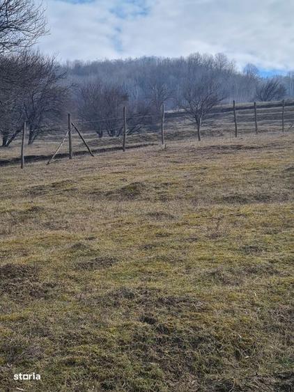 Teren de 4200 mp, în Drajna