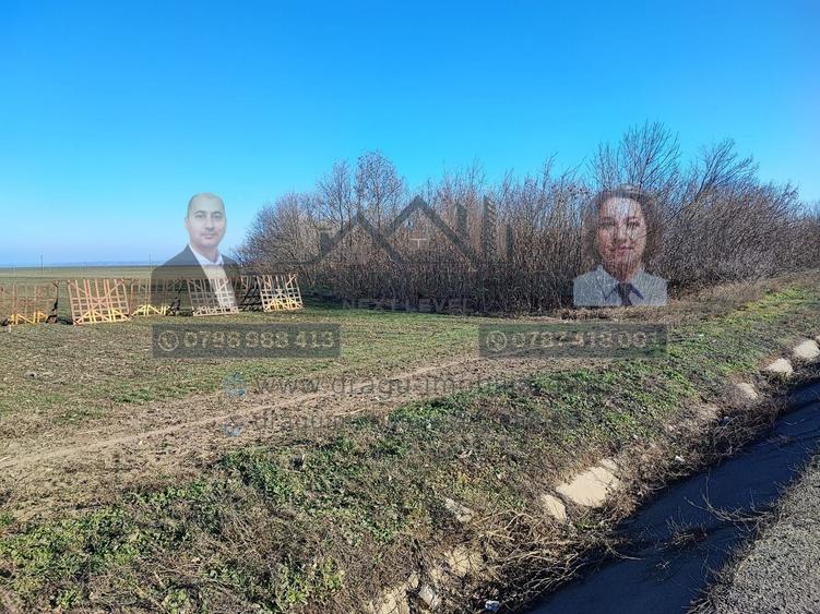 Teren agricol extravilan de 5000 mp, în Nord