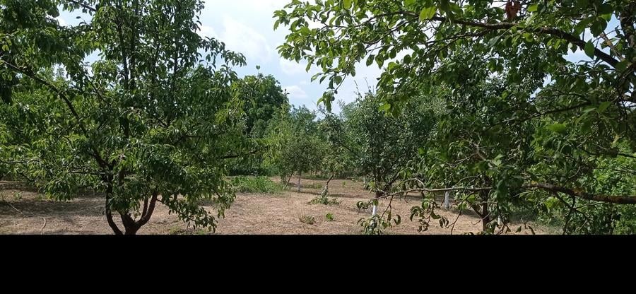 Casă individuală cu 4 camere cu Teren 1890 Mp în Orbeni