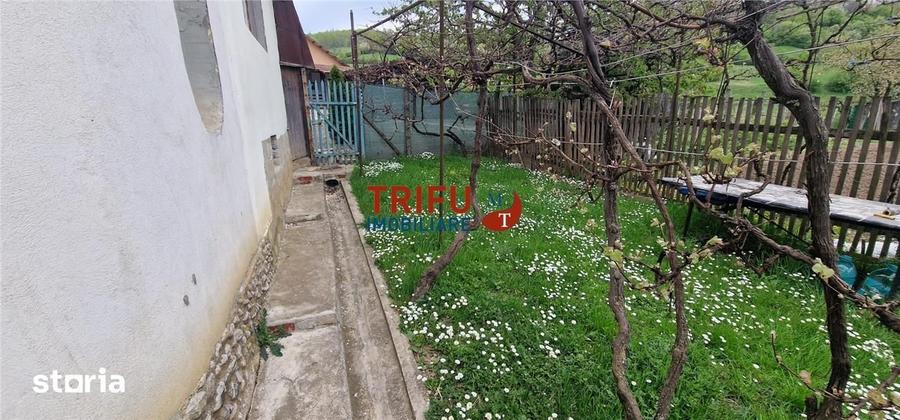 Casă cu 3 camere cu Teren 1338 Mp în Meteș