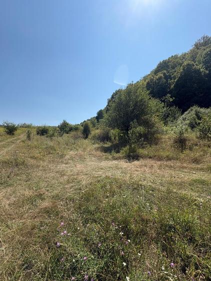 Teren agricol intravilan de 3000 mp, în Nord