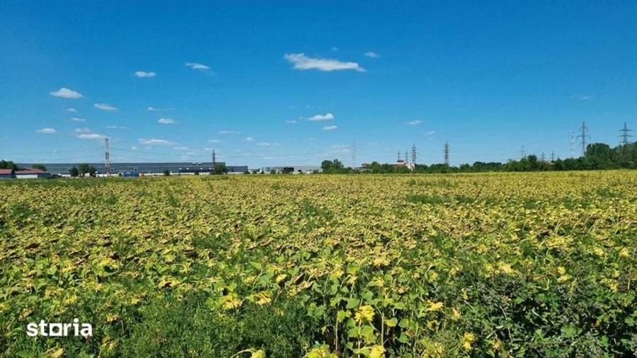 Teren de 2500 mp, în Cordun