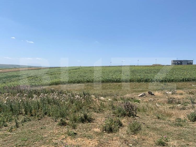 Teren Construcții extravilan de 1000 mp, în Nord