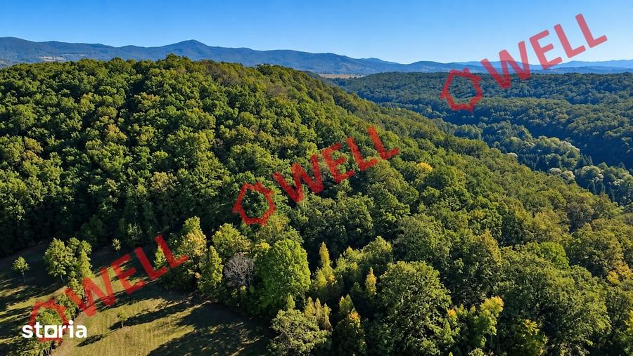 Teren de 16800 mp, în Bățani