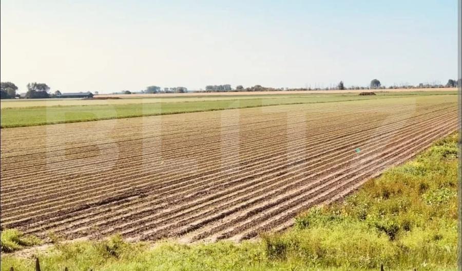 Teren agricol extravilan de 30000 mp, în Lugoj