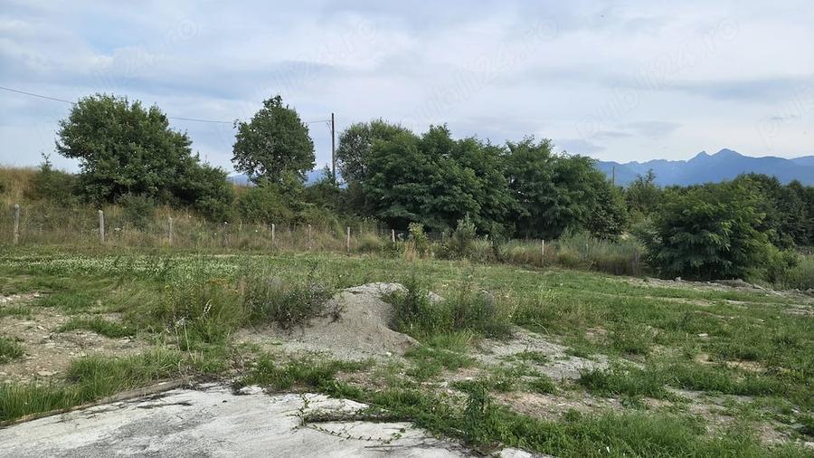 Teren de 1100 mp, în Arpașu de Sus