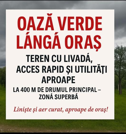 Spațiu comercial, în Negrești-Oaș