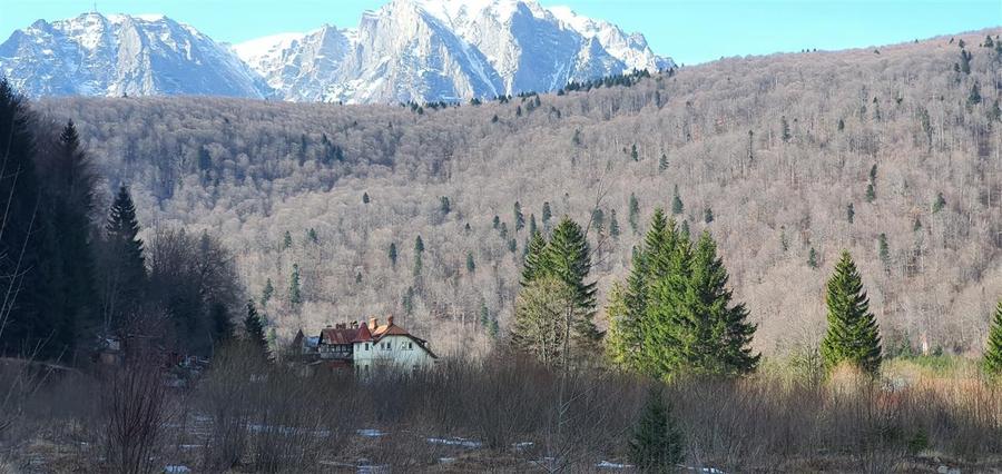 Teren Construcții intravilan de 39000 mp, în Ultracentral