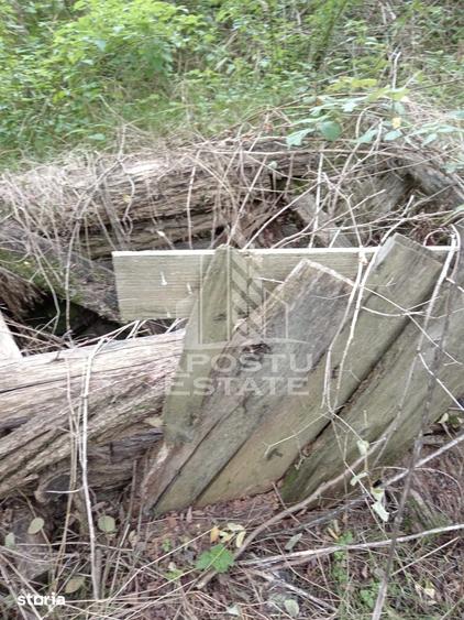 Teren de 3260 mp, în Buteni