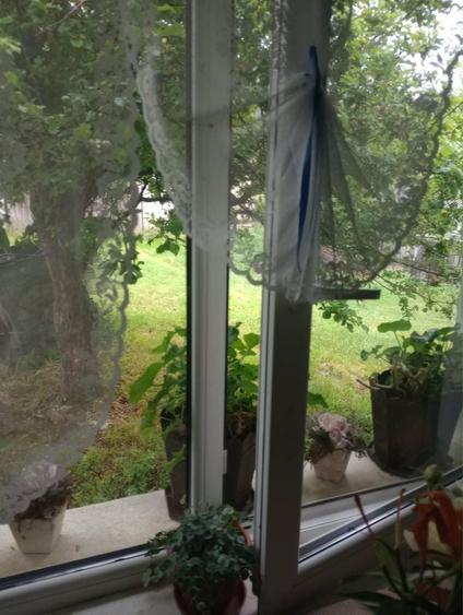 Casă cu 3 camere în Morlaca