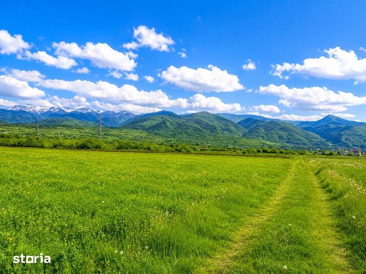 Teren de 2800 mp, în Turnu Roșu