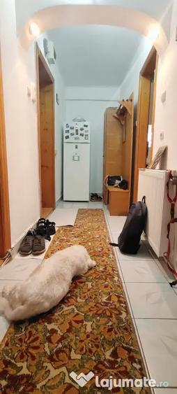 Apartament cu 2 camere decomandat în Est