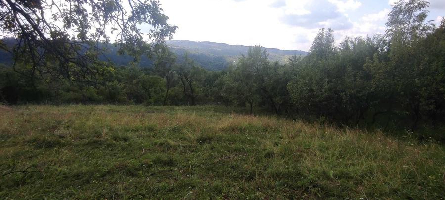 Spațiu comercial, în Central