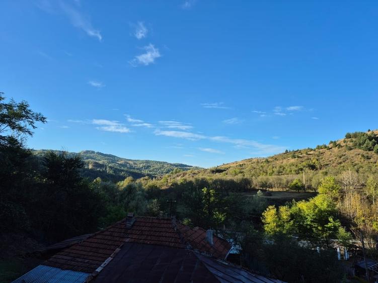 Casă cu 4 camere cu Teren 8000 Mp în Pruni