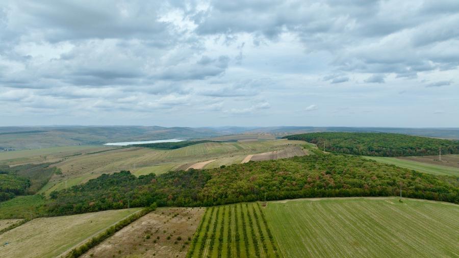 Teren extravilan de 30000 mp, în Ciocani