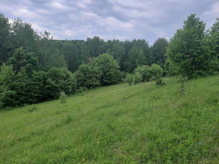 Teren de 2200 mp, în Dăești