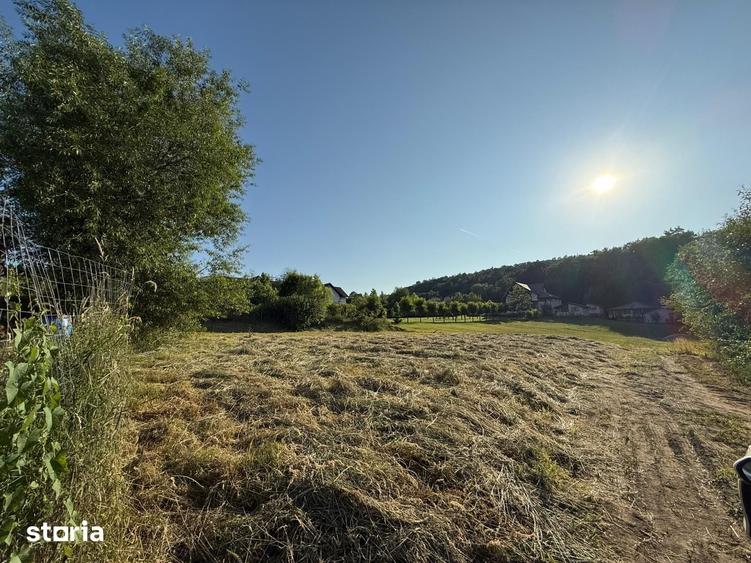 Teren de 1050 mp, în Cisnădie