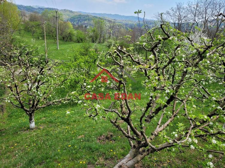 Casă individuală cu 3 camere cu Teren 1906 Mp în Breaza