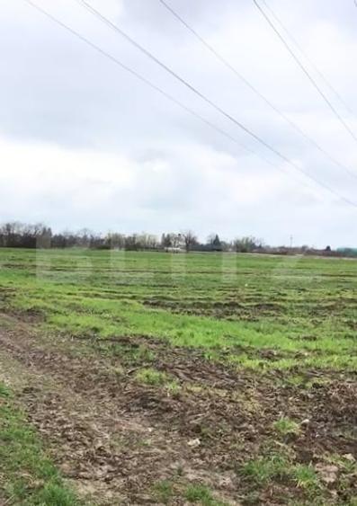 Teren agricol intravilan de 19650 mp, în Titu