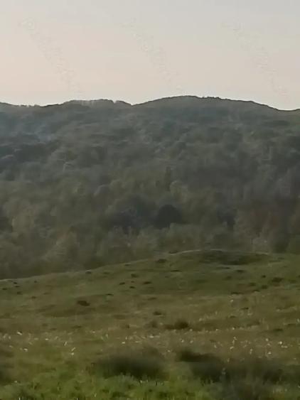 Teren de 3600 mp, în Aluniș