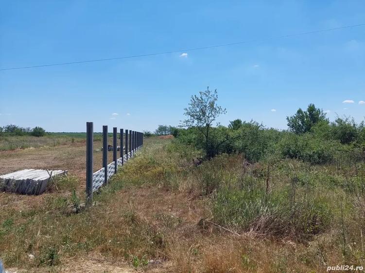 Teren de 2250 mp, în Milcov