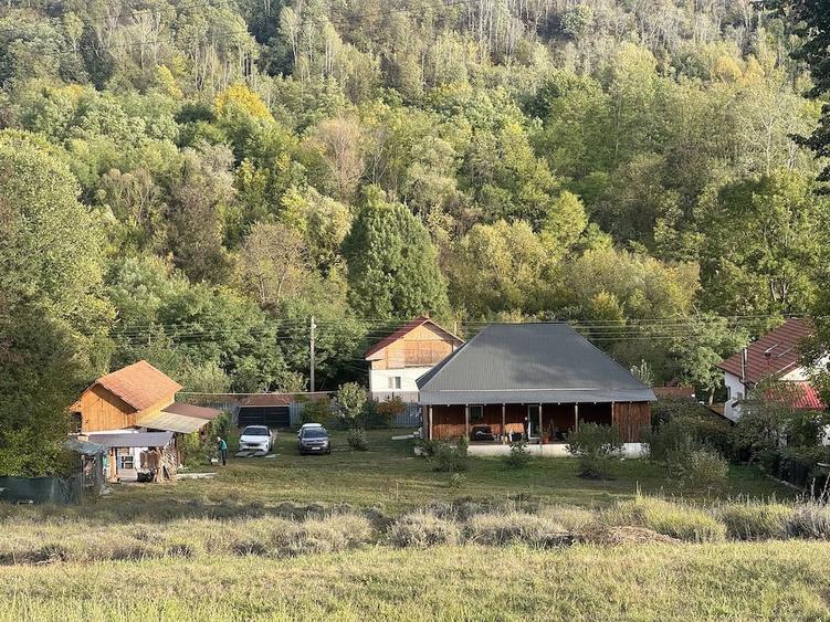 Casă cu Teren 6400 Mp în Samarinești