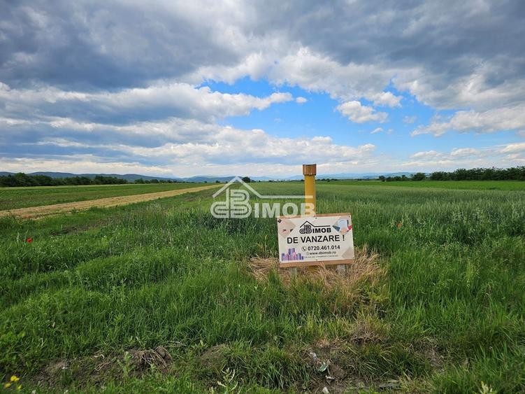 Teren agricol extravilan de 2500 mp, în Filipeștii de Târg