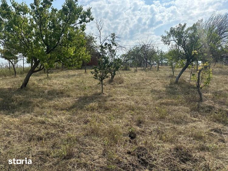 Teren de 1665 mp, în Podgoria