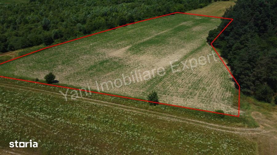 Teren de 11000 mp, în Băiculești