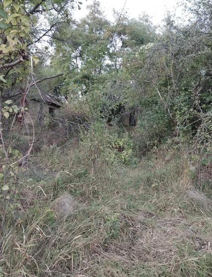 Teren de 16600 mp, în Bisoca
